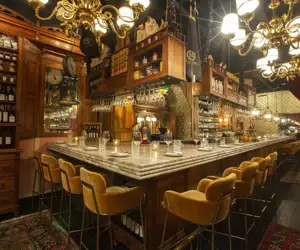 gorgeous shot of the bar